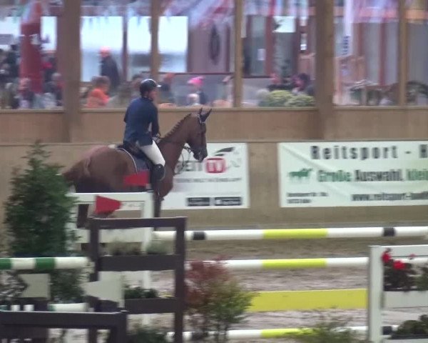 Reitturnier Köln-Leverkusen 2015