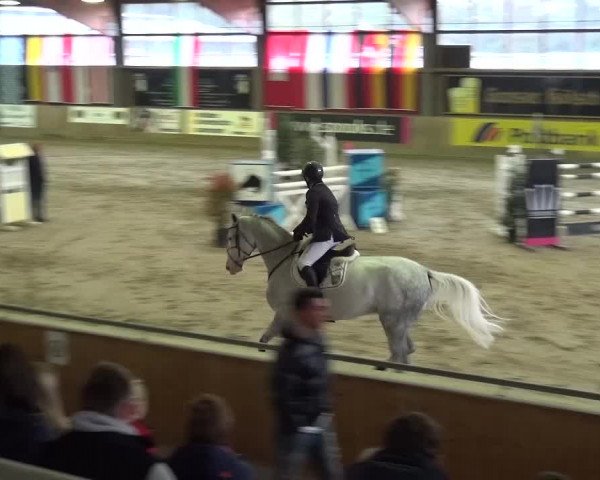 Reitturnier Köln-Leverkusen 2015