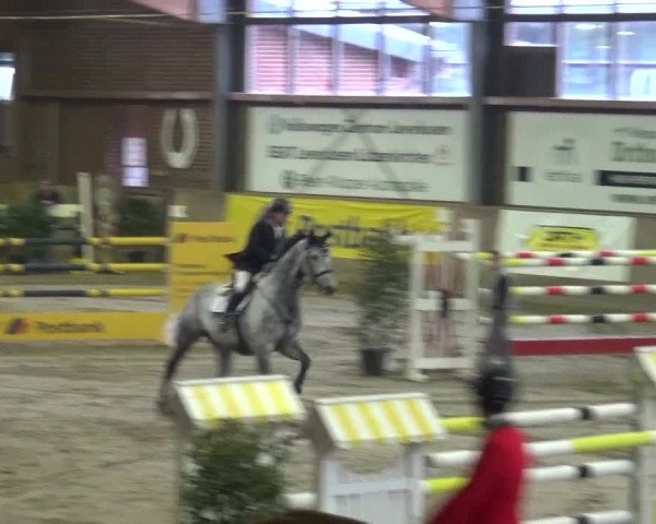 Reitturnier Köln-Leverkusen 2015