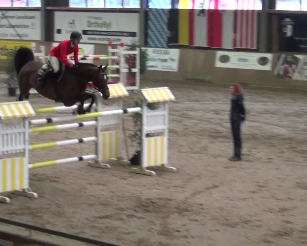 Reitturnier Köln-Leverkusen 2015