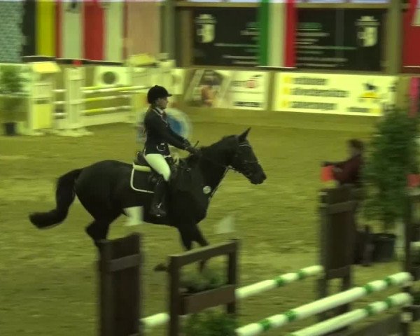 Reitturnier Köln-Leverkusen 2015