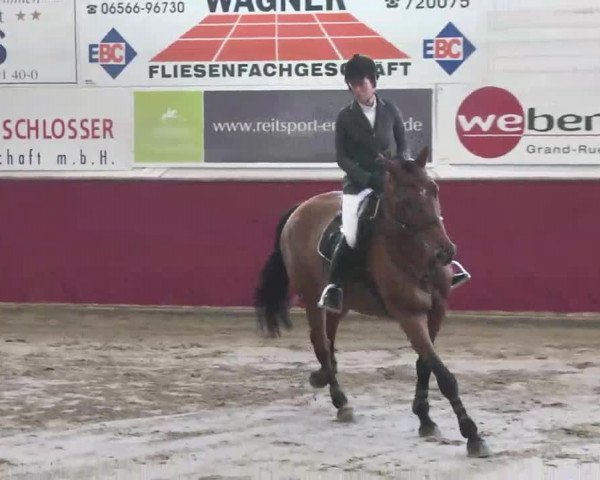 Reitturnier Trier - Hofgut Monaise 2015