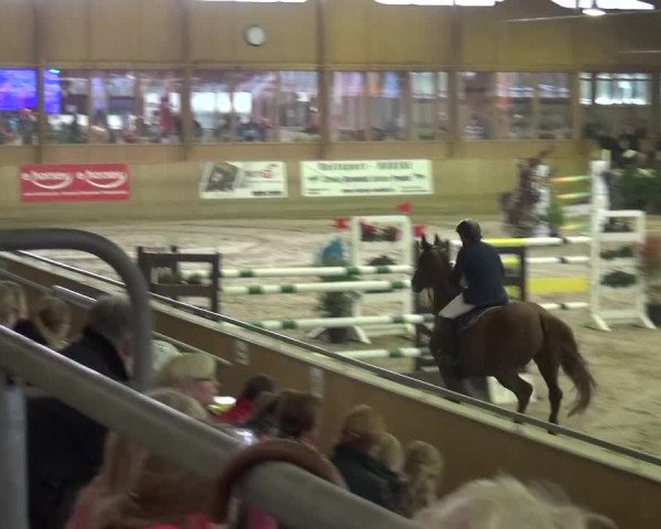 Reitturnier Köln-Leverkusen 2015