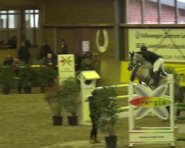 Reitturnier Köln-Leverkusen 2015