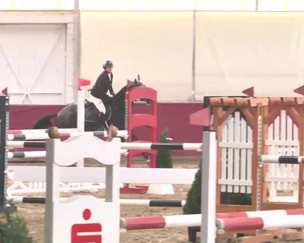 Reitturnier Trier - Hofgut Monaise 2015