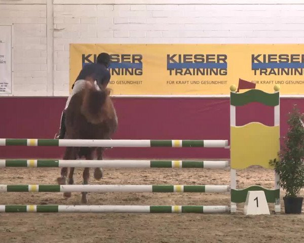 Reitturnier Trier - Hofgut Monaise 2015