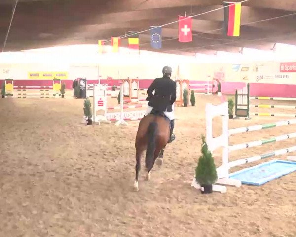 Reitturnier Trier - Hofgut Monaise 2015