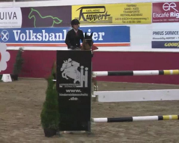 Reitturnier Trier - Hofgut Monaise 2015