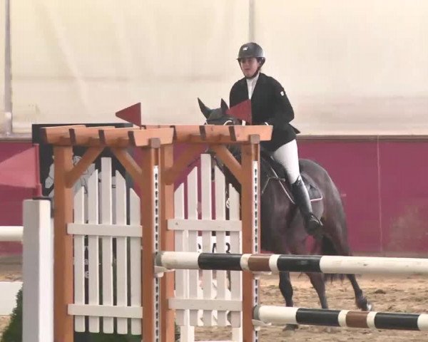 Reitturnier Trier - Hofgut Monaise 2015