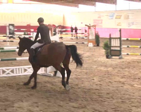 Reitturnier Trier - Hofgut Monaise 2015