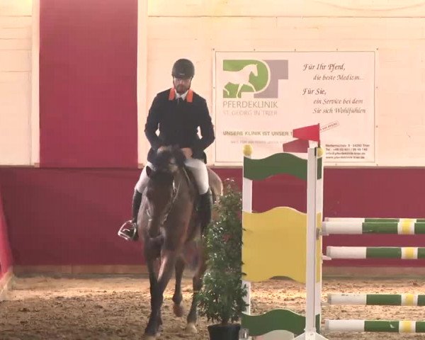 Reitturnier Trier - Hofgut Monaise 2015