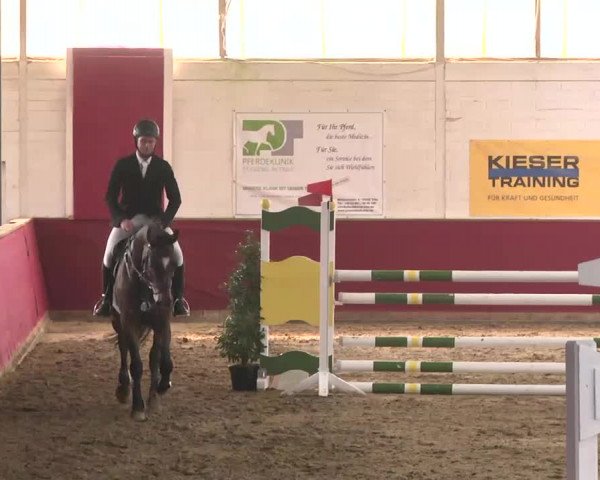 Reitturnier Trier - Hofgut Monaise 2015