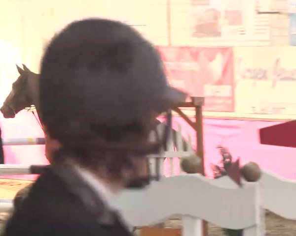 Reitturnier Trier - Hofgut Monaise 2015