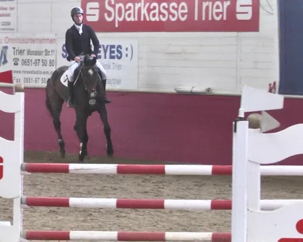Reitturnier Trier - Hofgut Monaise 2015