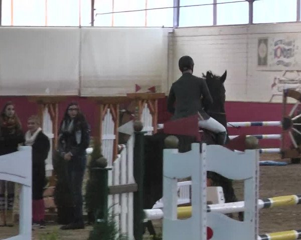 Reitturnier Trier - Hofgut Monaise 2015