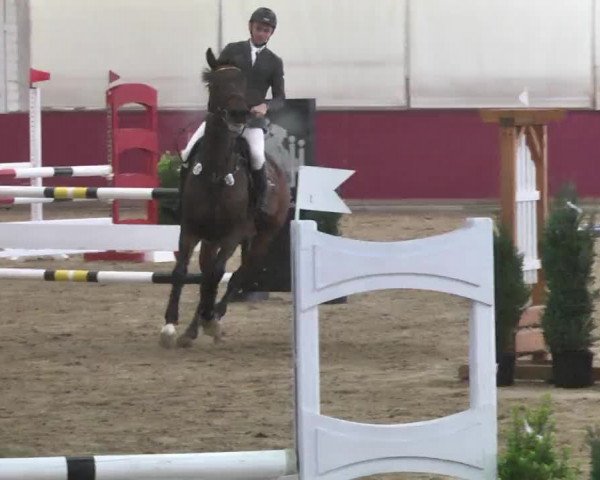 Reitturnier Trier - Hofgut Monaise 2015