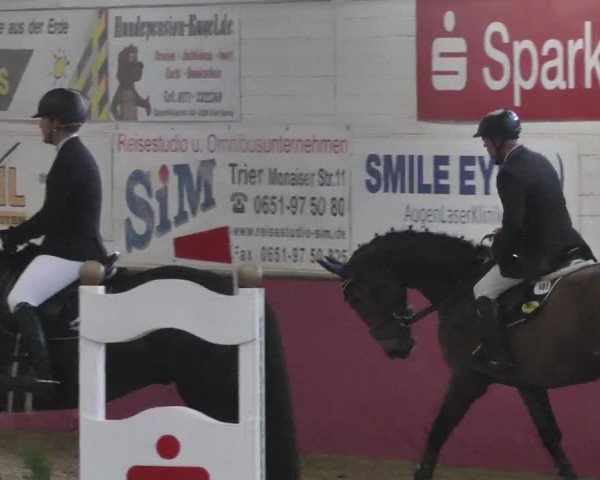 Reitturnier Trier - Hofgut Monaise 2015