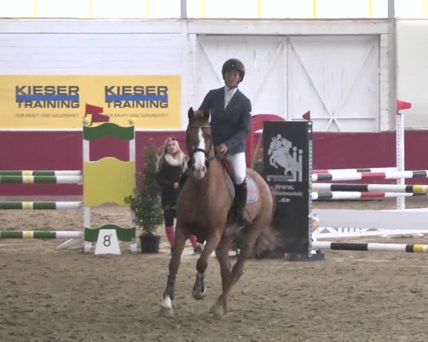 Reitturnier Trier - Hofgut Monaise 2015