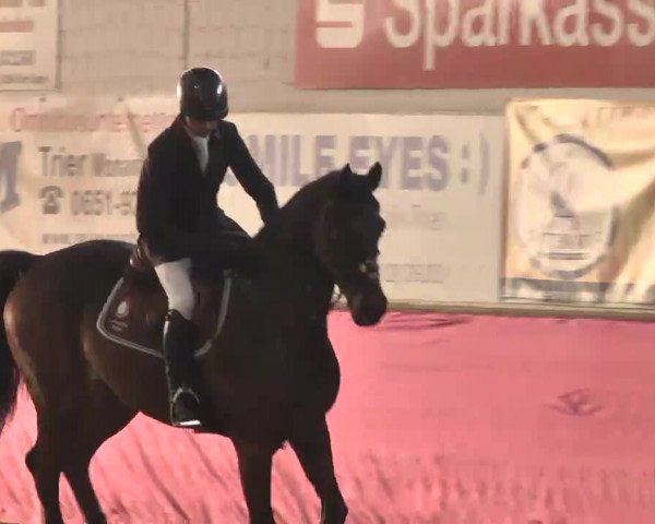 Reitturnier Trier - Hofgut Monaise 2015