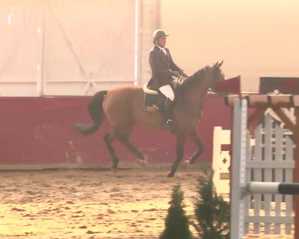 Reitturnier Trier - Hofgut Monaise 2015