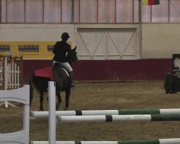 Reitturnier Trier - Hofgut Monaise 2015