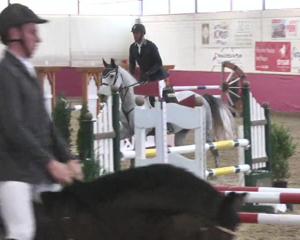 Reitturnier Trier - Hofgut Monaise 2015