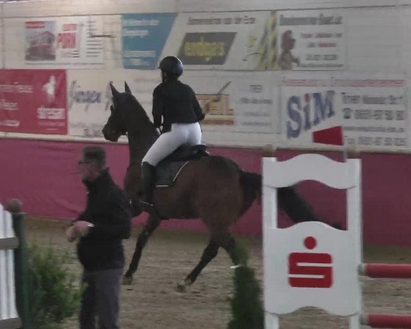 Reitturnier Trier - Hofgut Monaise 2015