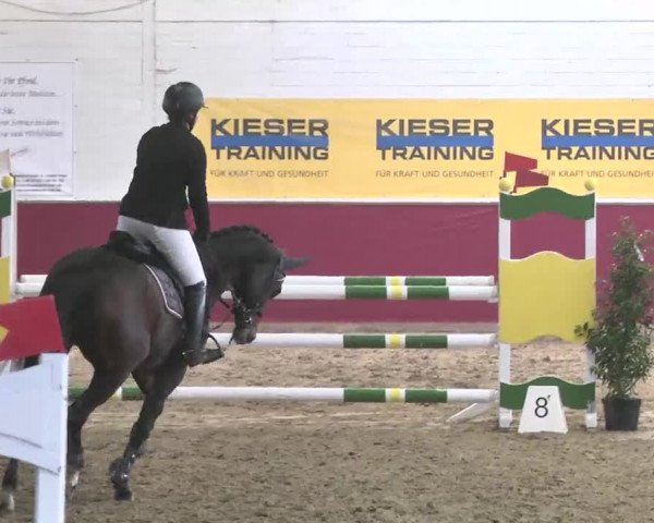 Reitturnier Trier - Hofgut Monaise 2015