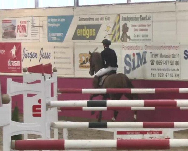 Reitturnier Trier - Hofgut Monaise 2015
