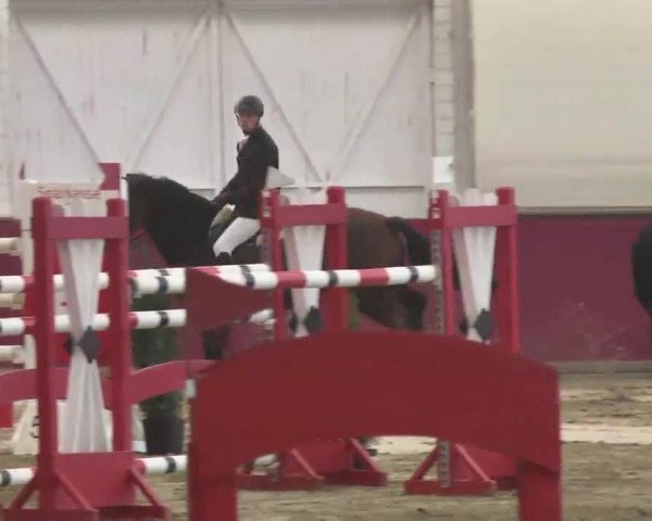 Reitturnier Trier - Hofgut Monaise 2015