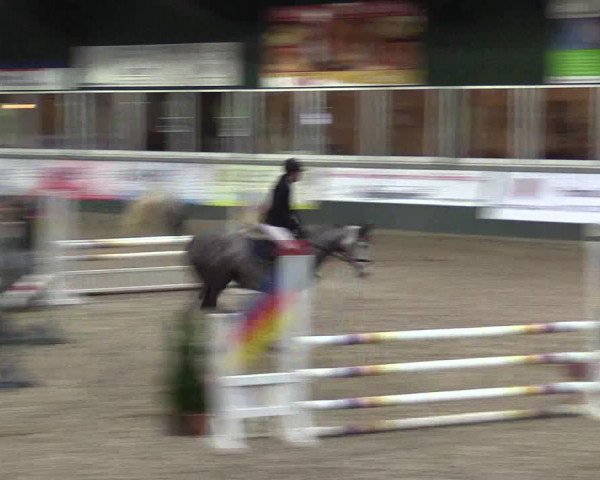 Reitturnier Salzkotten 2015