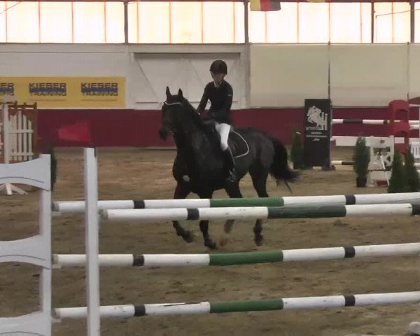 Reitturnier Trier - Hofgut Monaise 2015