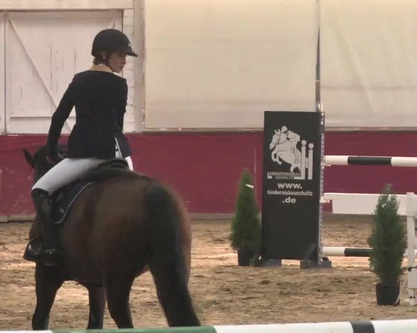 Reitturnier Trier - Hofgut Monaise 2015