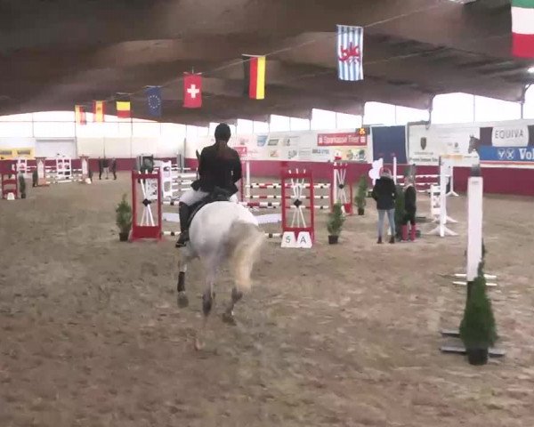 Reitturnier Trier - Hofgut Monaise 2015