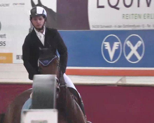 Reitturnier Trier - Hofgut Monaise 2015