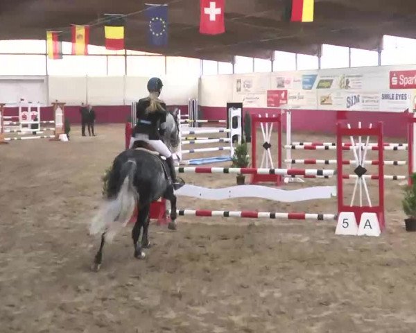 Reitturnier Trier - Hofgut Monaise 2015