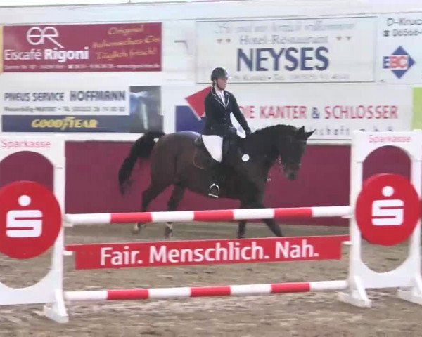 Reitturnier Trier - Hofgut Monaise 2015