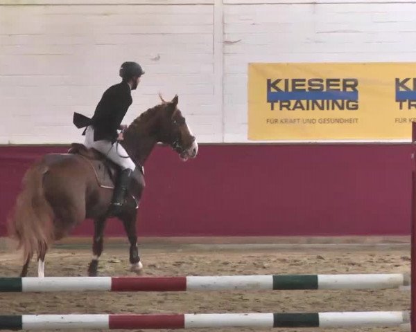 Reitturnier Trier - Hofgut Monaise 2015