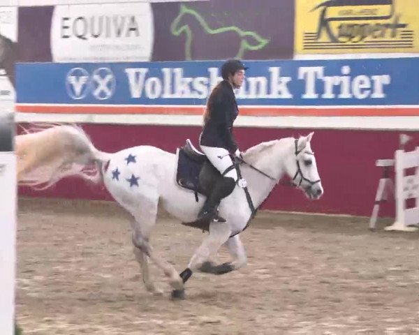 Reitturnier Trier - Hofgut Monaise 2015