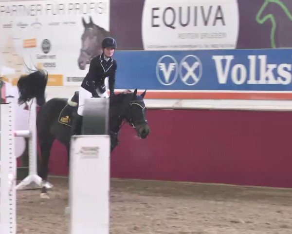 Reitturnier Trier - Hofgut Monaise 2015