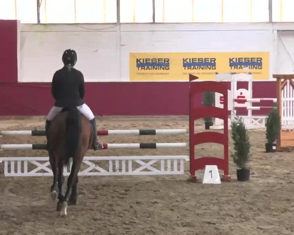 Reitturnier Trier - Hofgut Monaise 2015