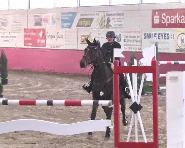 Reitturnier Trier - Hofgut Monaise 2015