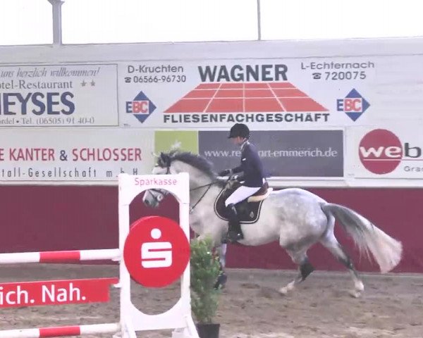 Reitturnier Trier - Hofgut Monaise 2015