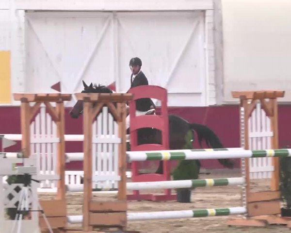 Reitturnier Trier - Hofgut Monaise 2015