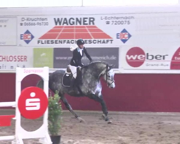 Reitturnier Trier - Hofgut Monaise 2015