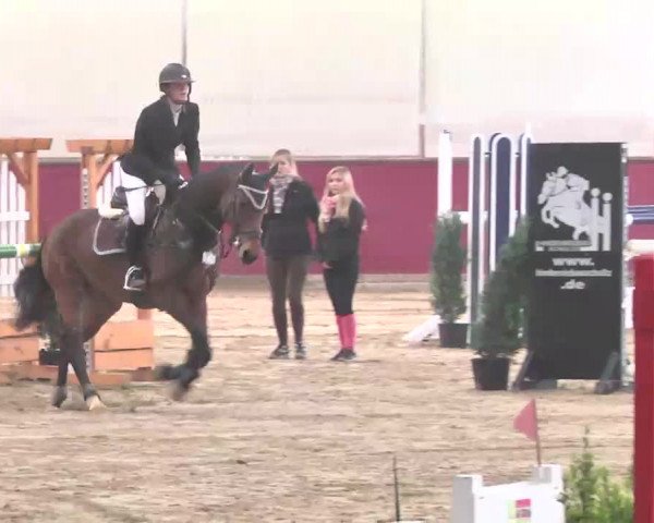 Reitturnier Trier - Hofgut Monaise 2015