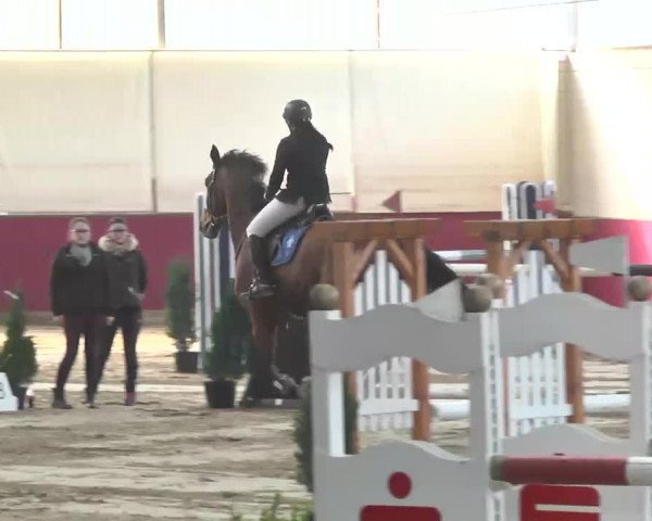 Reitturnier Trier - Hofgut Monaise 2015
