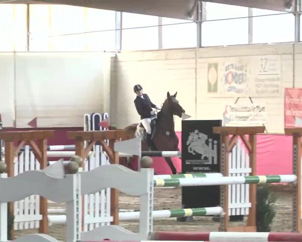 Reitturnier Trier - Hofgut Monaise 2015