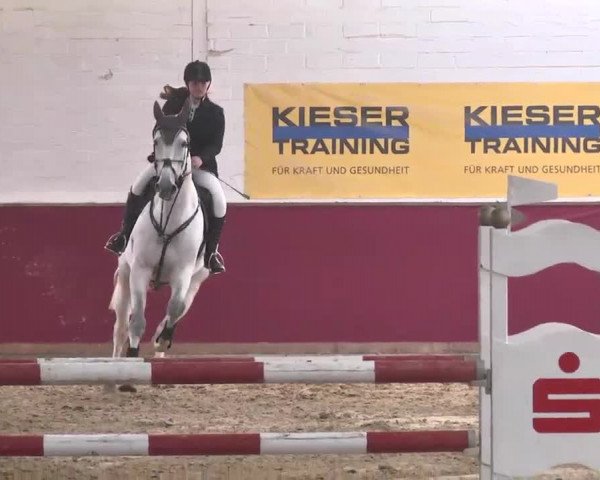Reitturnier Trier - Hofgut Monaise 2015