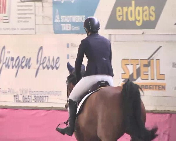 Reitturnier Trier - Hofgut Monaise 2015